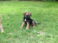 /album/fotogalerie/cimg1927-jpg/