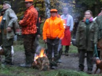 /album/fotogalerie/cimg2058-jpg/