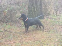 /album/fotogalerie/cimg2145-jpg/